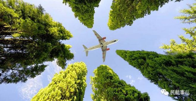Soar Green: The Technological Marvel of Sustainable Aviation Fuels