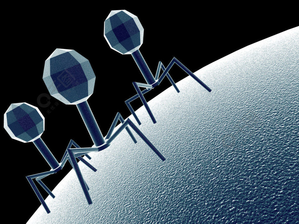 Tiny Engineers--Engineered Phages Revealed