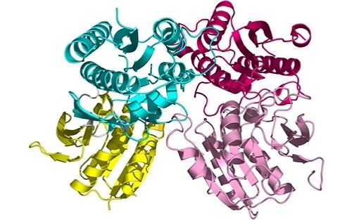 AI Wizard Turns Gold Into Gold, Creates Artificial Enzymes From Scratch